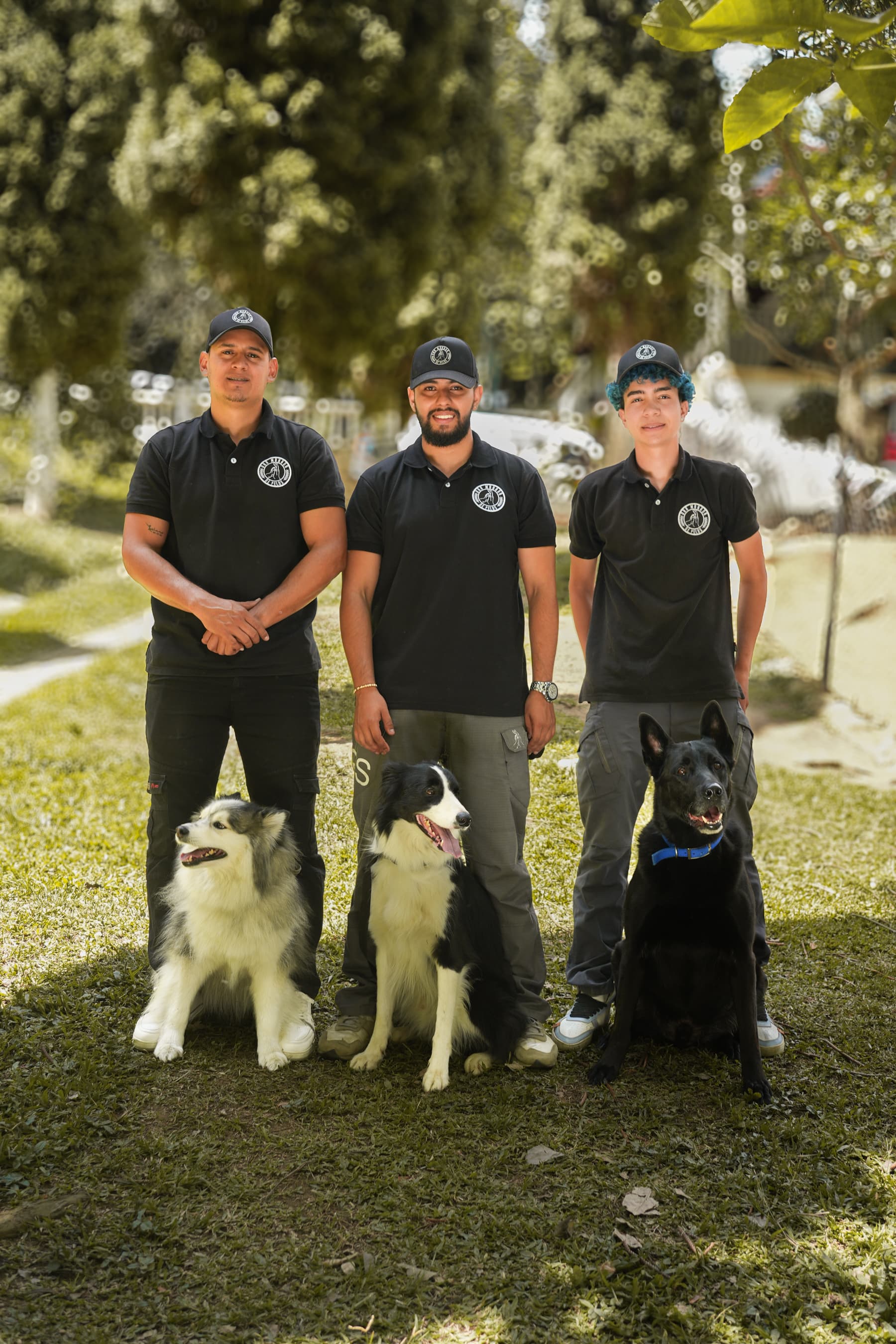 Adiestramiento Canino